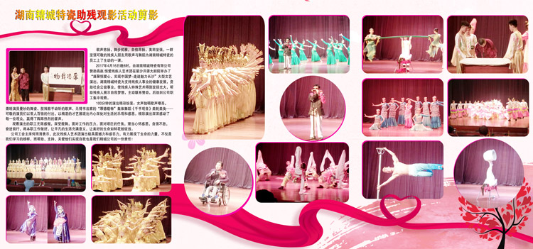 湖南永信贵宾会217赞助燕赵·恒爱残疾人艺术团圆满演出